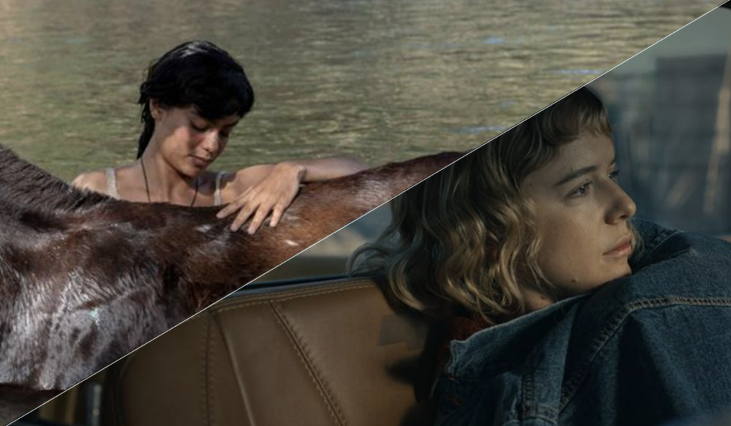 Les Jeudis de Cannes Cinéma – ZOOM SUR LE CINÉMA MEXICAIN